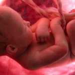 Cuando el feto empieza a sentir dolor