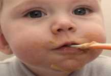 El menú diario durante el primer año