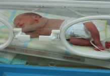 Cómo podemos colaborar con un bebé prematuro