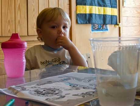 Dieta en niños de 12 a 24 meses