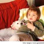 bebe y su mascota