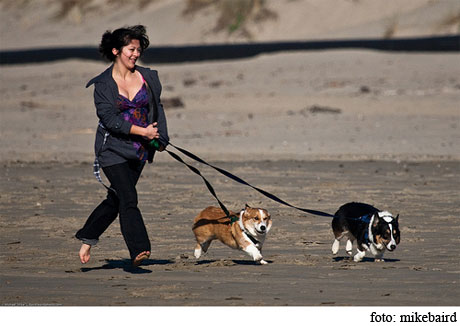 Clave para sentirse mejor