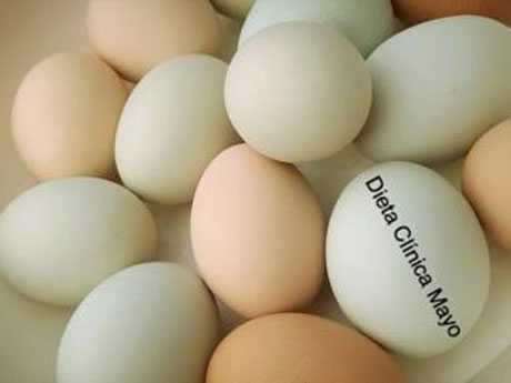 Dieta Clínica Mayo