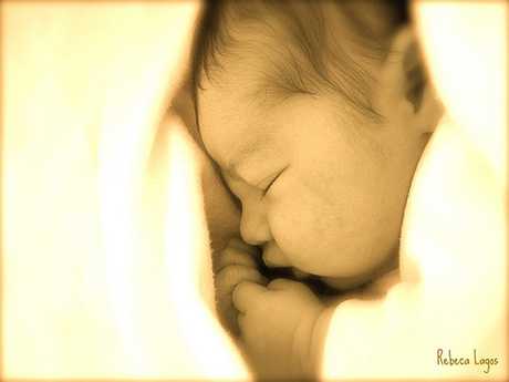 Muerte Súbita Infantil Síndrome de muerte súbita lactante