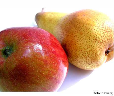 Postre bajas calorías