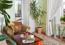 Plantas beneficiosas para el hogar Plantas en el hogar