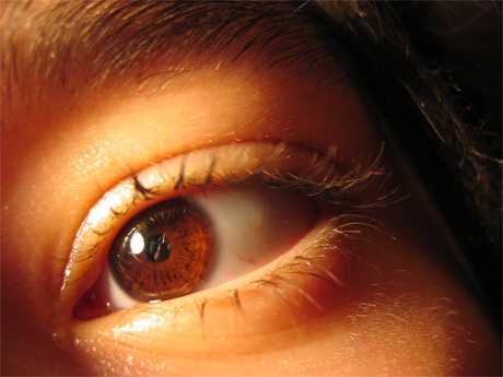 Combatir la retinopatia diabetica