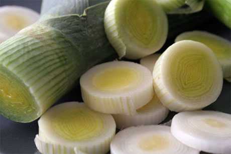 Propiedades del puerro