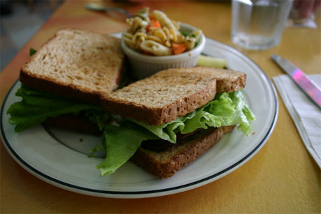sandwich de dieta
