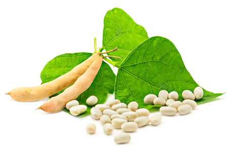 Soja La soja y sus propiedades