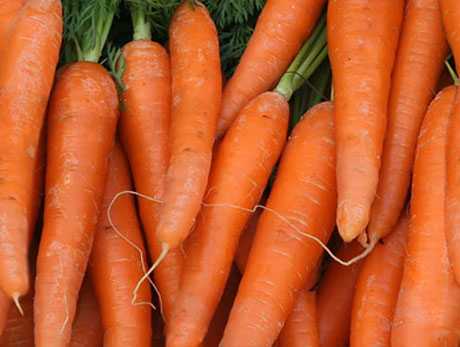 consumir zanahorias